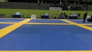 Campeonato Português de JiuJitsu 2024 [upl. by Anatnom317]