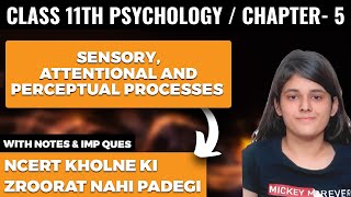 Sensory Attentional and Perceptual Processes Class 11 Psychology Chapter 5 One Shot Explanation [upl. by Rizzi842]