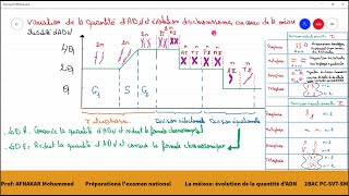 2Variation de la quantité dADN et aspect des chromosomes au cours de la méiose [upl. by Desimone]