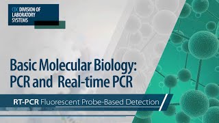 Basic Molecular Biology PCR and RealTime PCR – RTPCR Fluorescent ProbeBased Detection [upl. by Nahamas]