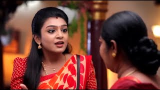 Nee Naan Kaadhal  Episode Promo  17th December 2024 [upl. by Strenta]