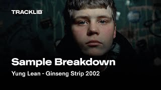 Sample Breakdown Yung Lean  Ginseng Strip 2002 [upl. by Einal]