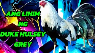 LEGENDARY DUKE HULSEY GREYS [upl. by Landre]