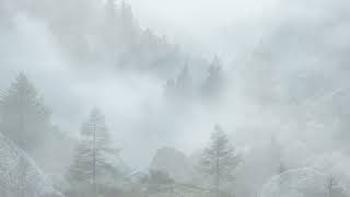 Hermann Hesse Im Nebel [upl. by Rolecnahc]