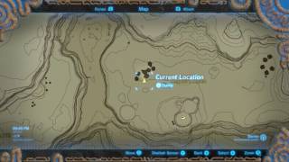 Where to Find Wildberries Zelda Breath of The Wild Tutorial [upl. by Sidnac]