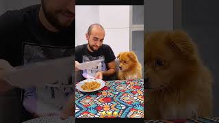 Sorry dog 🐕 funny petcommunity funnydog pets petloversunite funnypet duet petloverscommunity [upl. by Corbet]