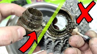 How to fix bike freewheel Pedals turn but bike doesnt move [upl. by Lorna98]