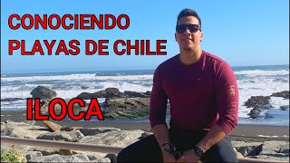 CONOCIENDO ILOCA  Primera vez en las Playas de Chile [upl. by Ulphiah959]