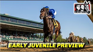 Breeders Cup Juvenile 2024 Early Preview [upl. by Neggem]