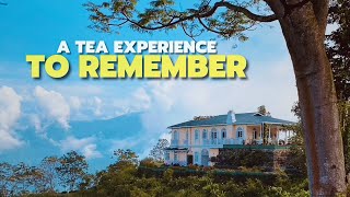 This Darjeeling Tea Estate Got Featured In 101 Best Hotels Of The World [upl. by Karleen]