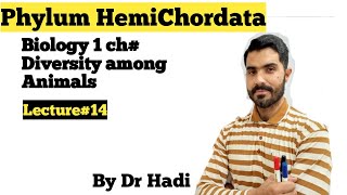 Phylum Hemichordata its comparison with chordates and invertebrates Lecture 14 by Dr Hadi [upl. by Bebe]