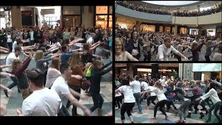 Calgary Flash Mob Proposal  Dance With Me Tonight [upl. by Ardnoet]