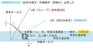 国際貿易論（江口）第6回授業その3（「ストルパー・サミュエルソンの定理」） [upl. by Chiles]