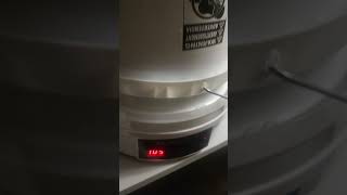 My Filament Dryer 3dprinting filamentdryer bambulaba1 [upl. by Ihsakat637]