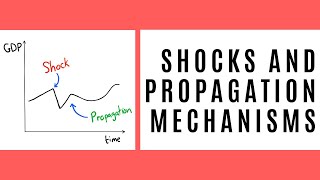 Shocks and Propagation Mechanisms [upl. by Dadinirt276]