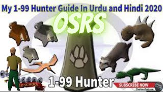 OSRS Hunter Guide 199 Urdu New Video 2023 [upl. by Karie]