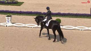 Glamourdale Lord Leatherdale x Negro CHIO Aachen 2019 [upl. by Minnie558]