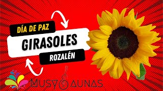 GIRASOLES Rozalén [upl. by Isiah]