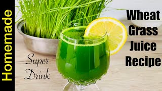 Wheatgrass Juice Recipe  Health Benefits of Wheat Grass Juice  Healthy Fresh Green Superdrink [upl. by Hortense]