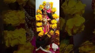 🙏🙏 Panna Ekadashi per lalach Shringar Darshan shyambhajan love [upl. by Poyssick]