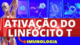 ATIVAÇÃO DE LINFÓCITOS T ENSINO SUPERIOR  IMUNOLOGIA  SISTEMA IMUNOLÓGICO [upl. by Rogovy]