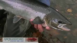 The Speycaster Spring Salmon Fishing on the River Findhorn in Scotland 2016 [upl. by Maziar761]