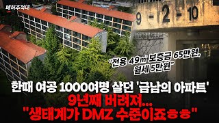 quot벌레와 너구리 천국 됐다quot 광명 한복판 5000억대 땅을 9년간 방치한 서울시 이유가…ㅣ폐허추적대 [upl. by Ajna452]