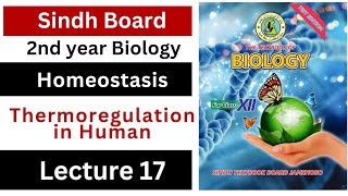 Thermoregulation in humans  homeostasis  class 12 biology Sindh board New book [upl. by Romeo]