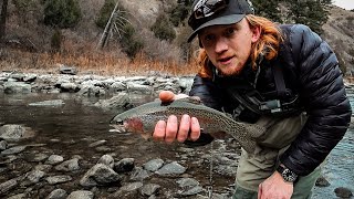 Winter Fly Fishing on The Madison River… SURPRISING DAY [upl. by Steffane]