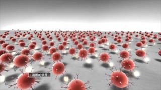 Gold Nanoparticles  BBI Solutions  Chinese [upl. by Aillicirp554]