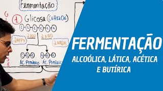 FERMENTAÇÃO lática acética alcóolica e butírica Prof Emerson Inácio [upl. by Illek553]