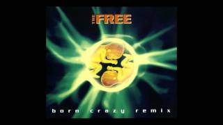 The Free  born crazy Extended Mix 1994 [upl. by Nara]