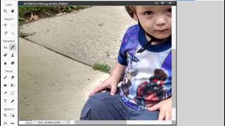 Basic Training for Photoshop Elements 2024 Part 5 of 8 [upl. by Christmas997]