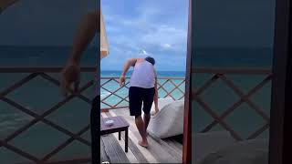 Affordable Maldives water villa maldives watervilla ytshorts shorts [upl. by Ahsatniuq]