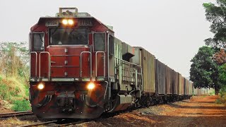 Trem GT46 Cara Laranja Partindo da Estação de Orlândia Nova arregaçando a sua Buzina [upl. by Tanitansy]