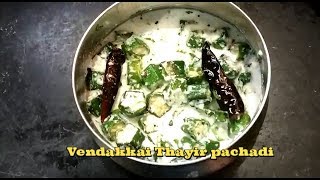 vendakkai thayir pachadi in tamil  வெண்டைக்காய் தயிர் பச்சடி [upl. by Areema]