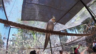 4K El zoológico de Guadalajara Jalisco México [upl. by Nittirb]