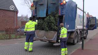 HvB Nieuws  Kerstbomen worden van straat geplukt in Hilvarenbeek [upl. by Schroer756]