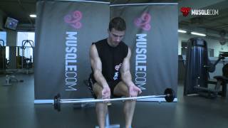 Seated PalmUp Barbell Wrist Curl [upl. by Ertsevlis843]