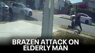 Elderly man attacked by Richmond package thief on 77th birthday  KTVU [upl. by Aenel122]