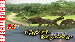 Kinnerasani Wildlife Sanctuary  Special Focus  NTV [upl. by Anikat238]