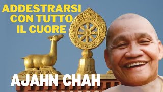 Addestrarsi con tutto il tuo cuore  discorso del venerabile Ajahn Chah [upl. by Luciana]