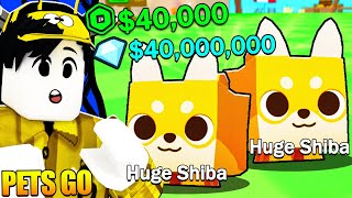 Pets Go  2 Pcs HUGE SHIBA DOG Worth 40000 Robux Sobrang Mahal Nito [upl. by Oiralednac]