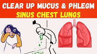 Clear Up Mucus amp Phlegm in Sinus Chest and Lungs – Breathe Freely Again [upl. by Nerfe]