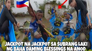 IBATIBANG PAGKAIN SA AGUSAN MARSH NA ANOD DALA NG MALAKING BAHA🇵🇭JACPOT KAMI NI EMMAN🇵🇭❤️🇫🇮 [upl. by Sonni]