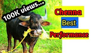 Kambala  CHENNA best performance [upl. by Ghiselin]