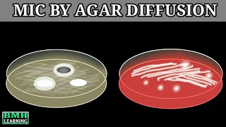 Determination Of MIC by Agar Diffusion Method  Antibiotic Assay By Agar diffusion Method [upl. by Akoyin591]