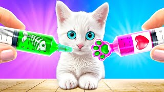 Ive Adopted Kitty Pet Gadgets and Hacks [upl. by Masry]