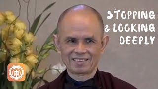 Stopping and Looking Deeply  Thich Nhat Hanh short teaching video [upl. by Llenrup893]