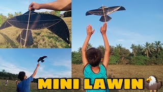 MINI LAWIN  SARANGGOLA  GURYON  TUTORIAL HANIP SA GALING LUMIPAD [upl. by Anayd]